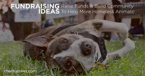 55+ Fundraising Ideas For Nonprofits & Animal Rescues.